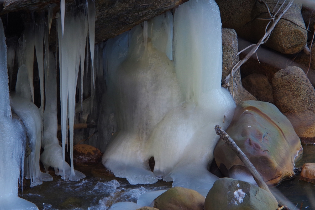 f:id:bsuga:20220209111050j:plain