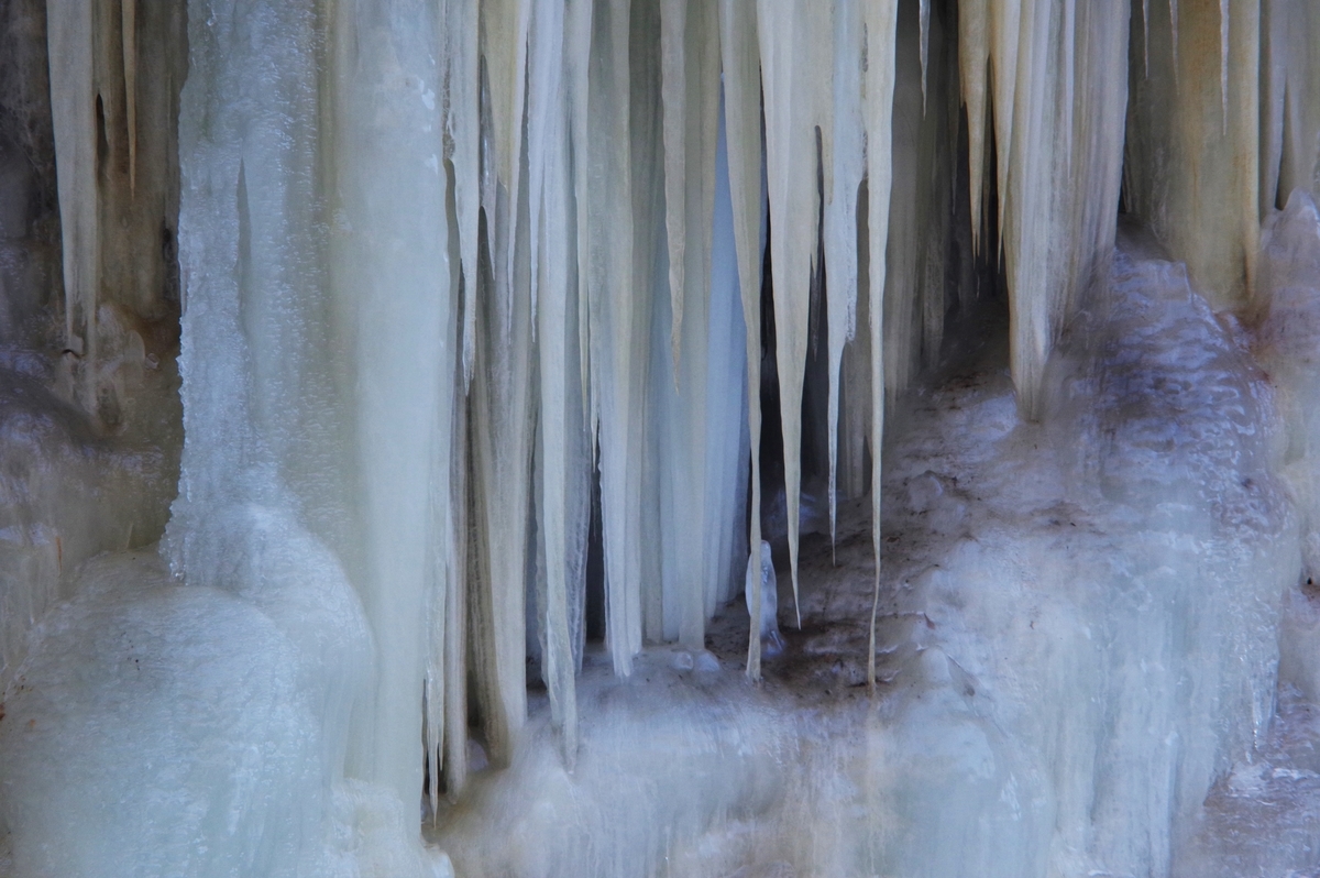 f:id:bsuga:20220210102309j:plain