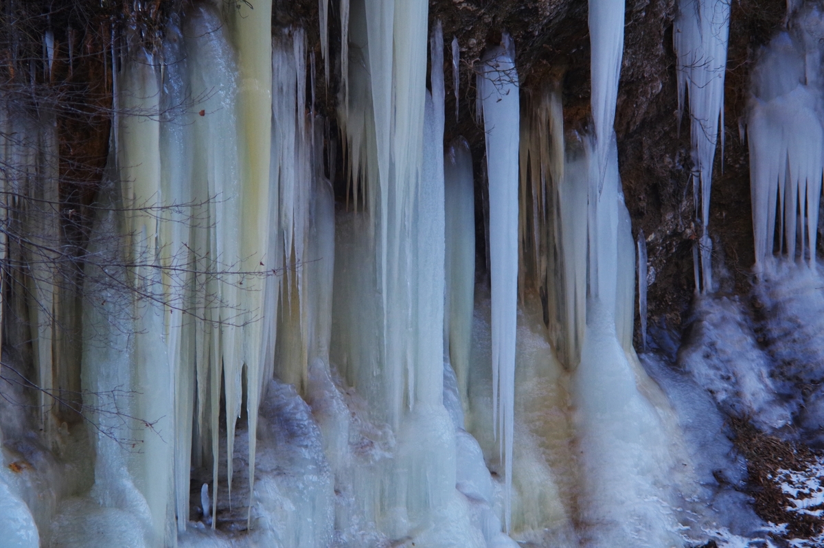 f:id:bsuga:20220210103409j:plain