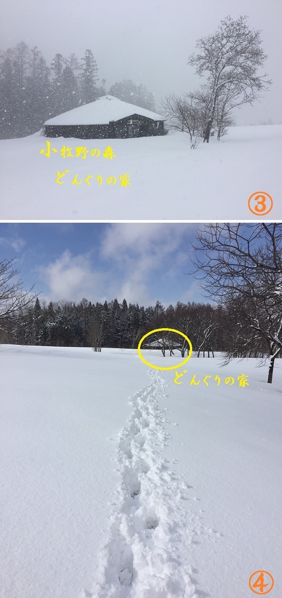 f:id:btejina:20190324100101j:plain