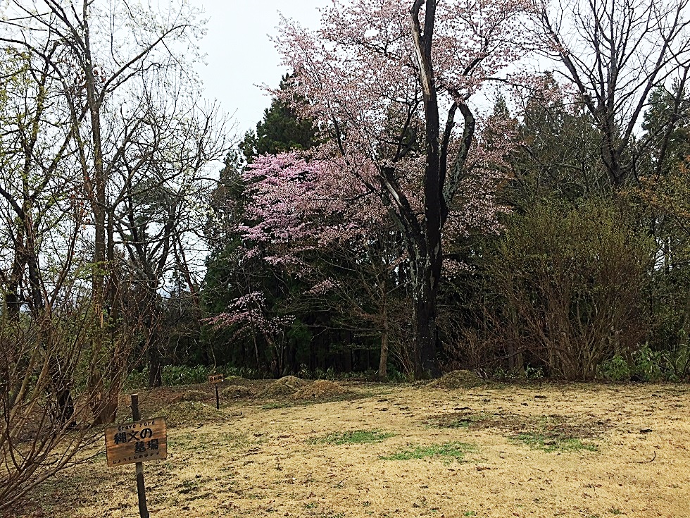 f:id:btejina:20190427100622j:plain