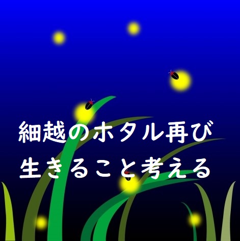 f:id:btejina:20190717170712j:plain