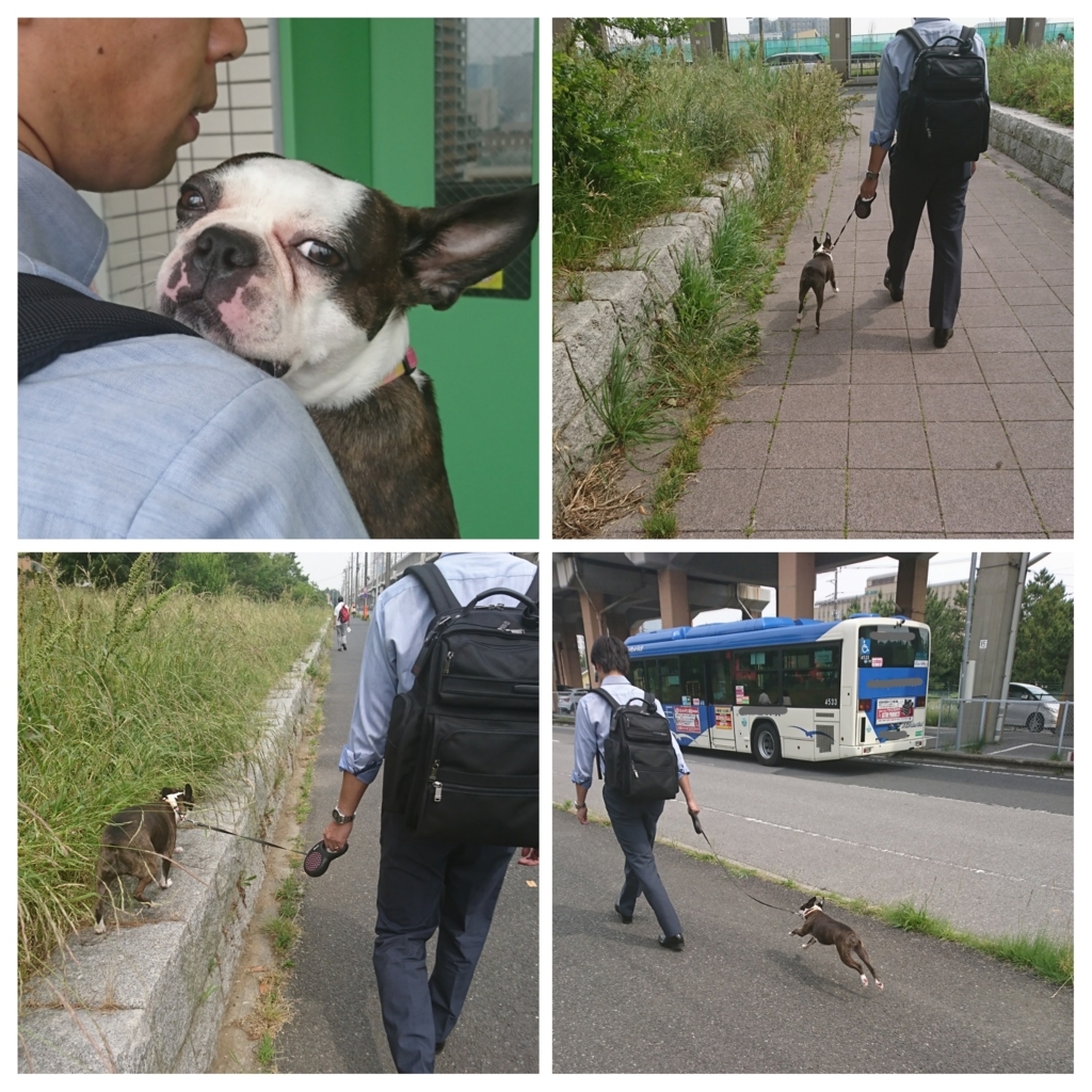 f:id:bu-621:20170531092936j:plain:w280