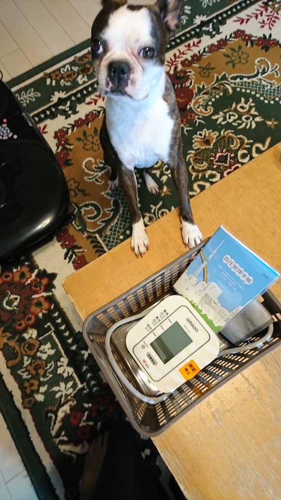 f:id:bu-621:20170607122847j:plain:w200