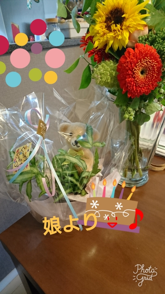 f:id:bu-621:20170621090231j:plain:w250