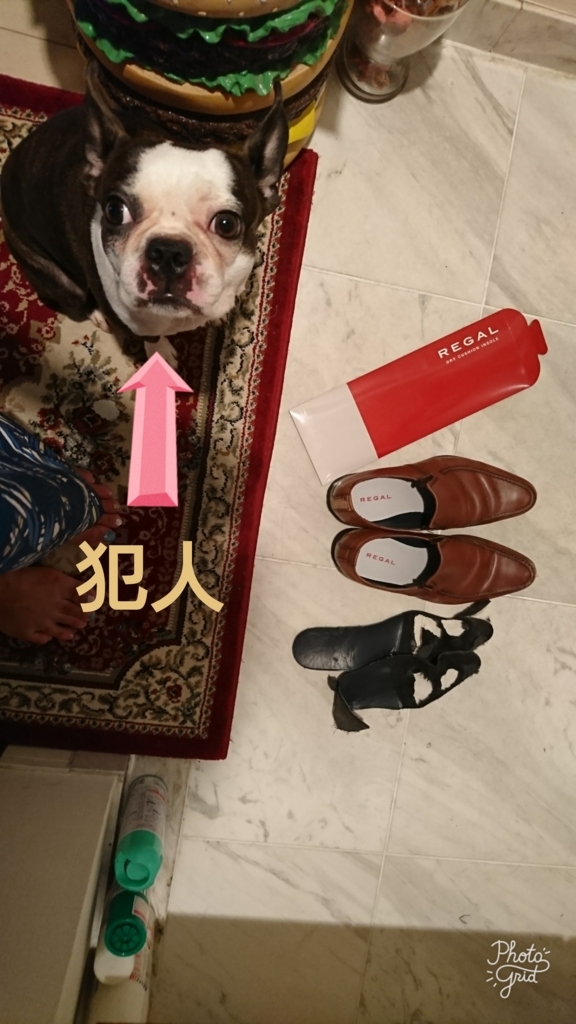 f:id:bu-621:20170727132612j:plain:w250
