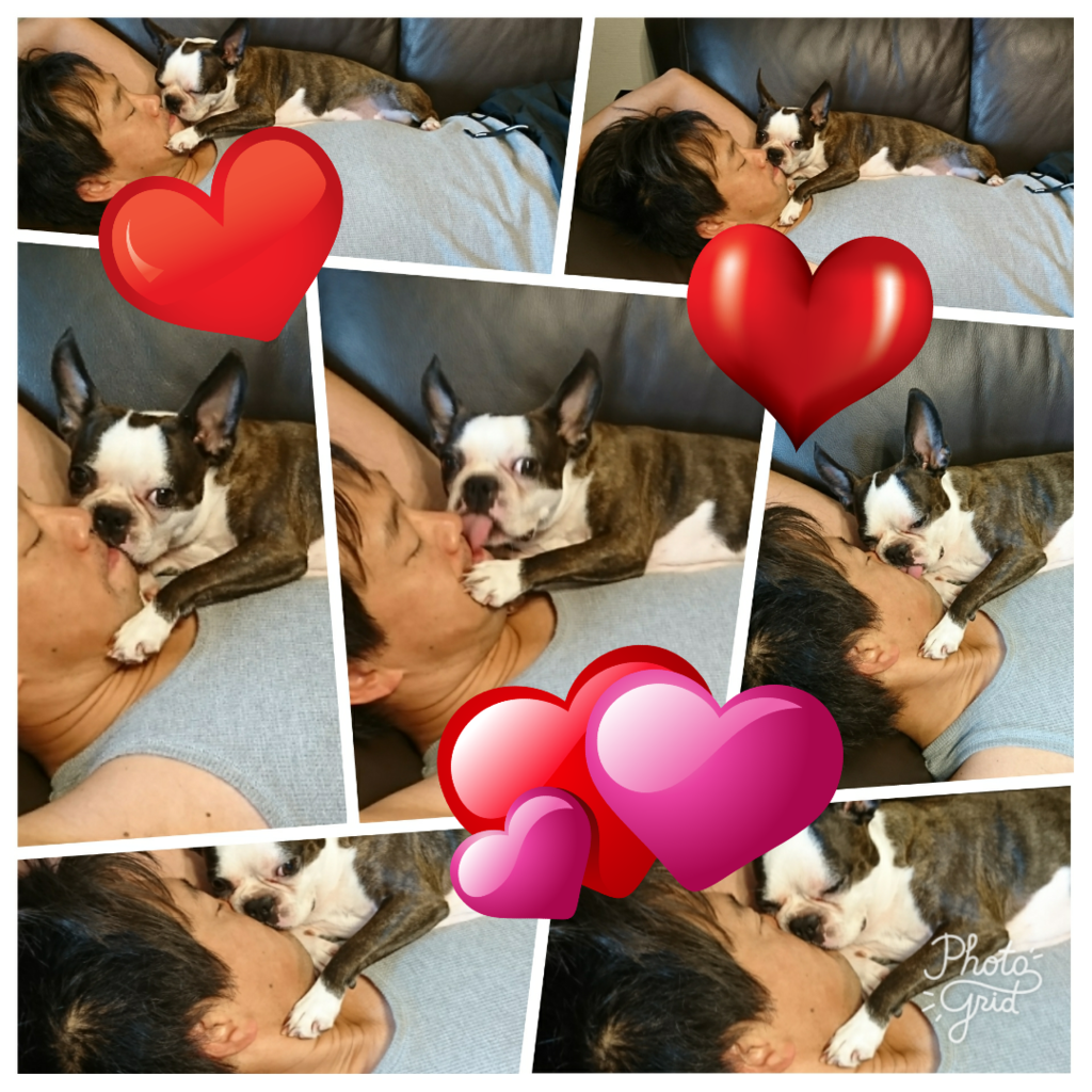 f:id:bu-621:20170730194943p:plain:w280