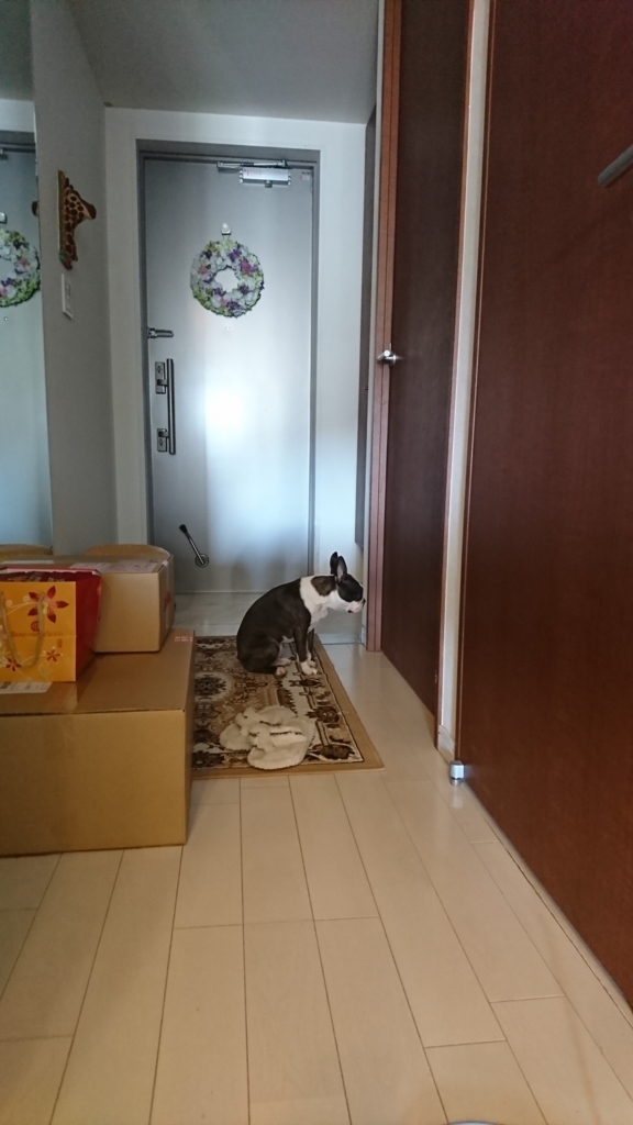 f:id:bu-621:20180113124002j:plain:w250