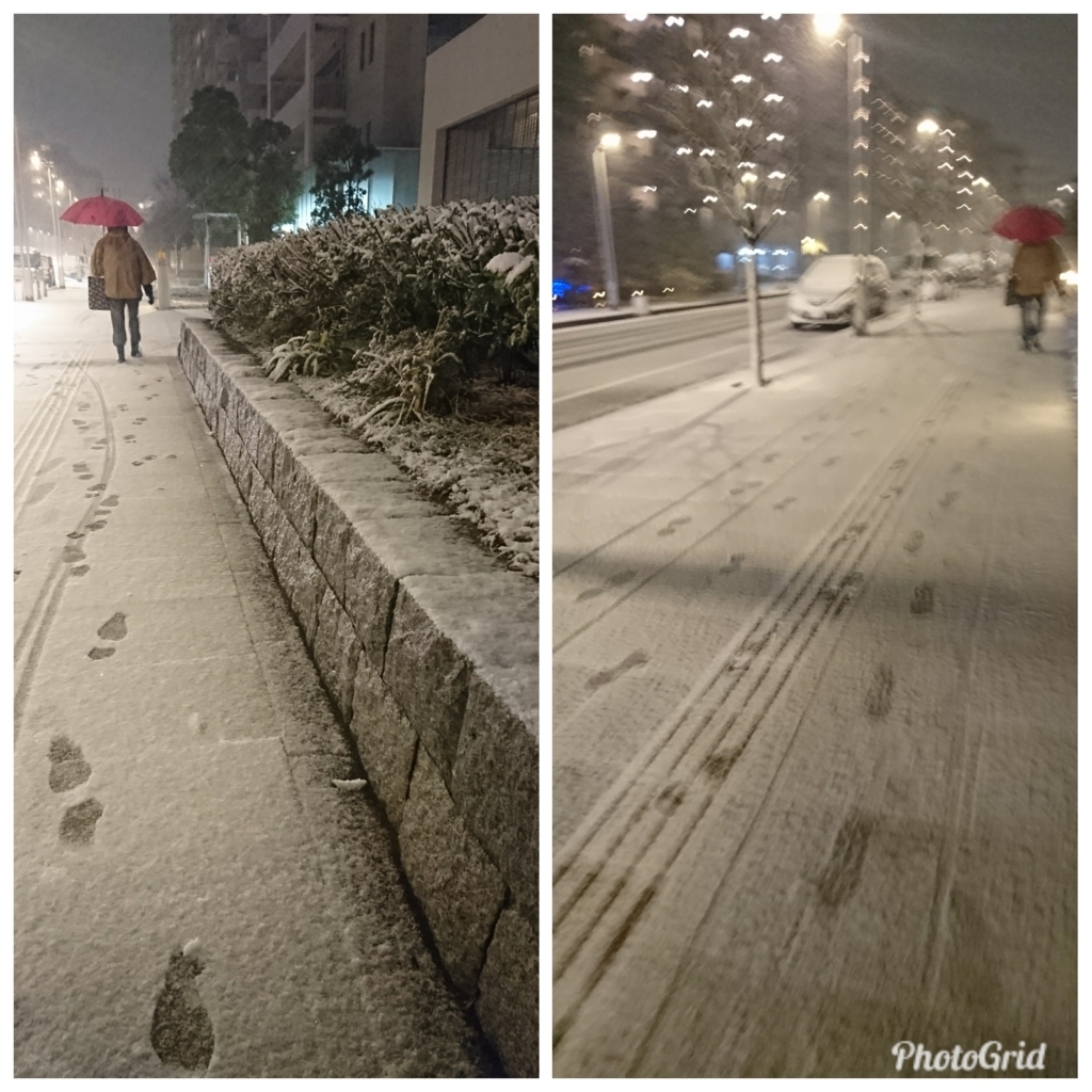 f:id:bu-621:20180122182127j:plain:w400