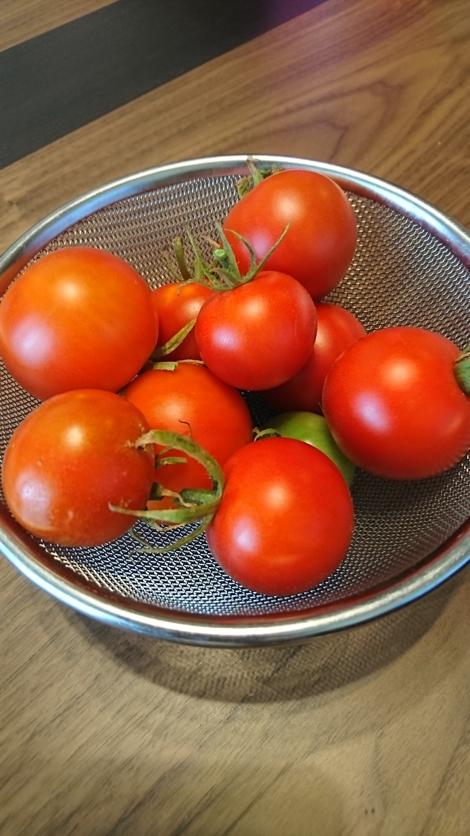 f:id:bu-621:20190814095658j:plain:w300