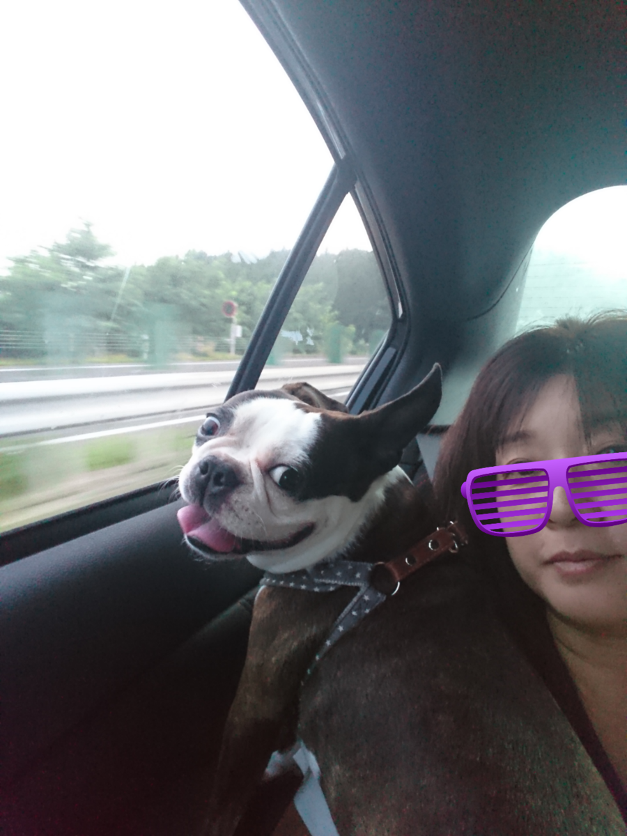 f:id:bu-621:20190814181315p:plain:w350
