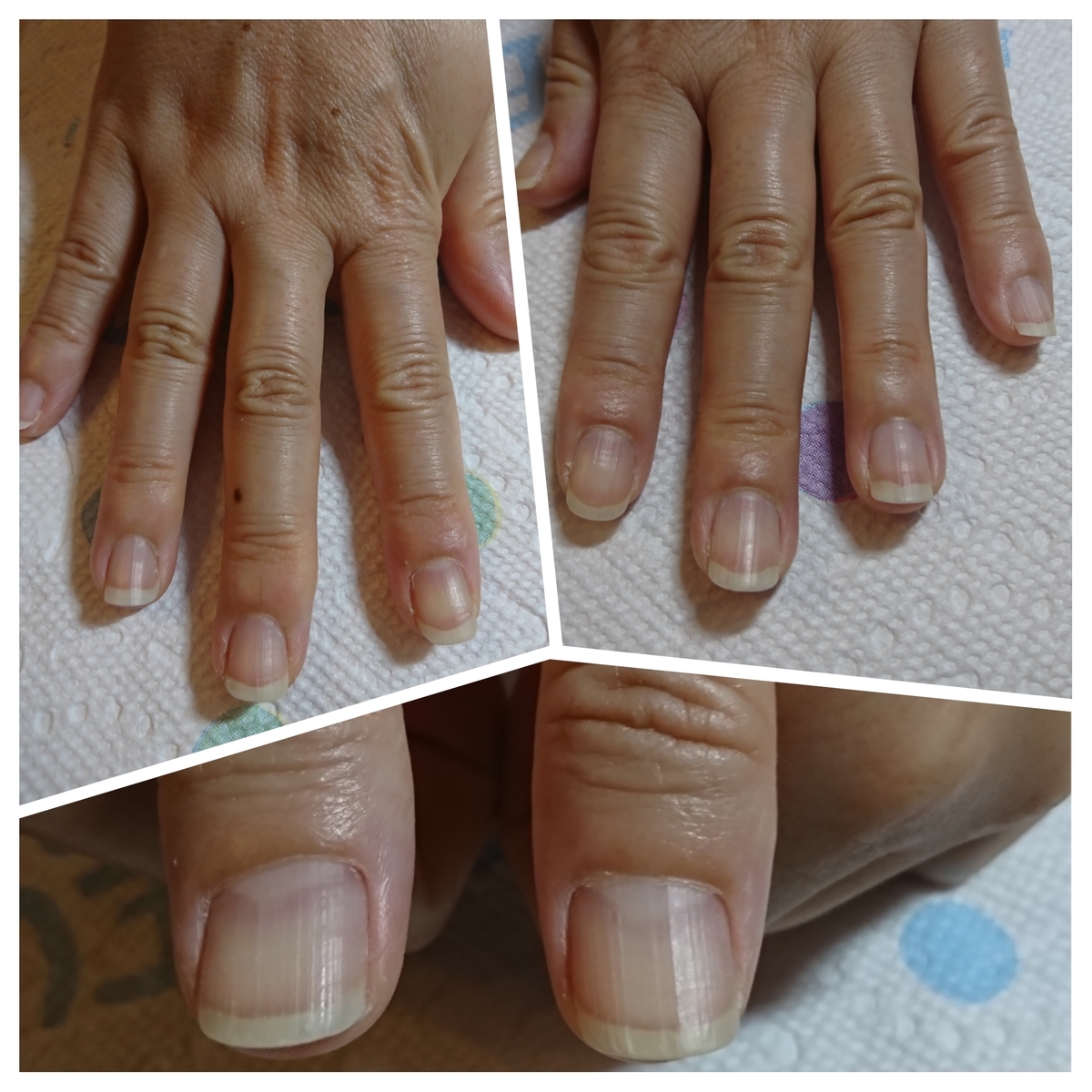 f:id:bu-621:20190822163144j:plain:w400