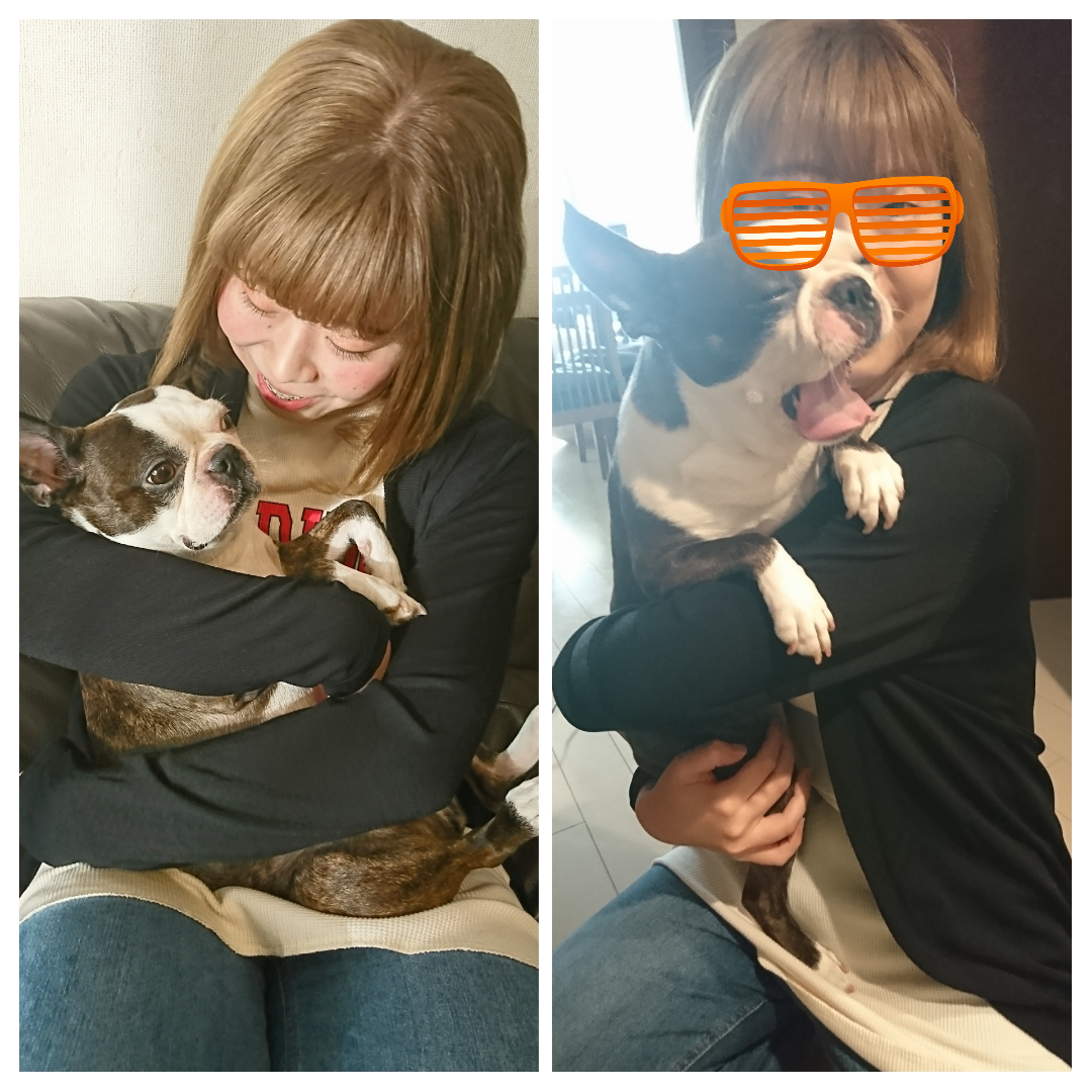 f:id:bu-621:20190831081101p:plain:w400 f:id:bu-621:20190831081101p:plain:w400