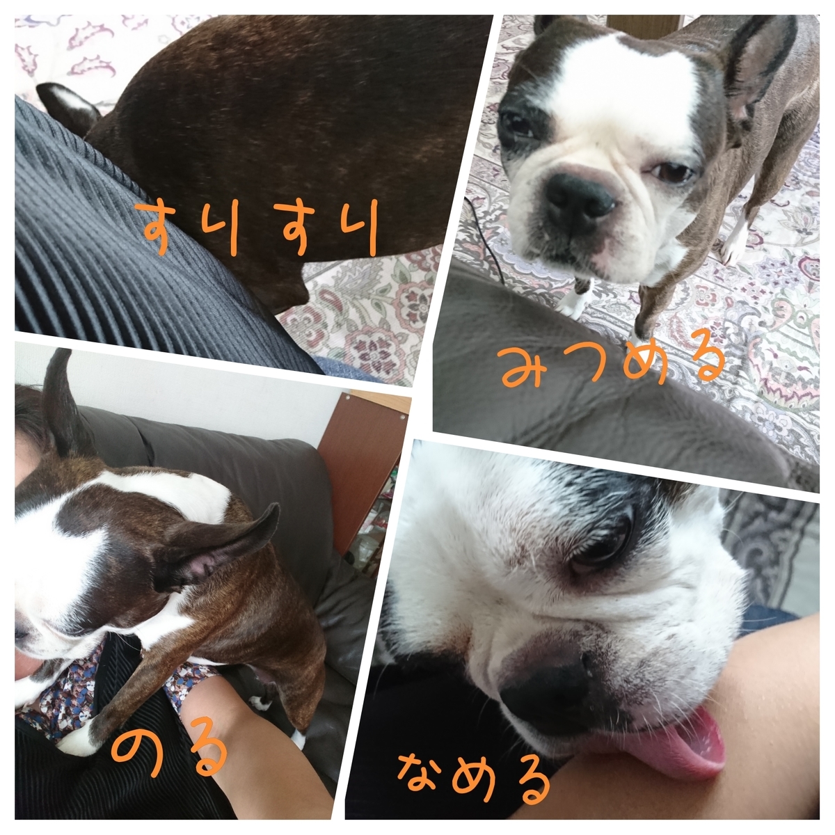 f:id:bu-621:20200711101000j:plain:w450