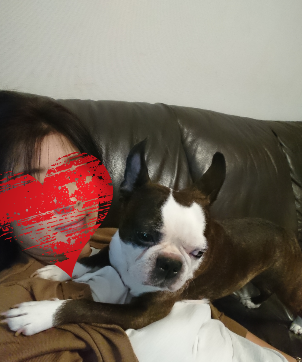 f:id:bu-621:20201014095353p:plain:w350