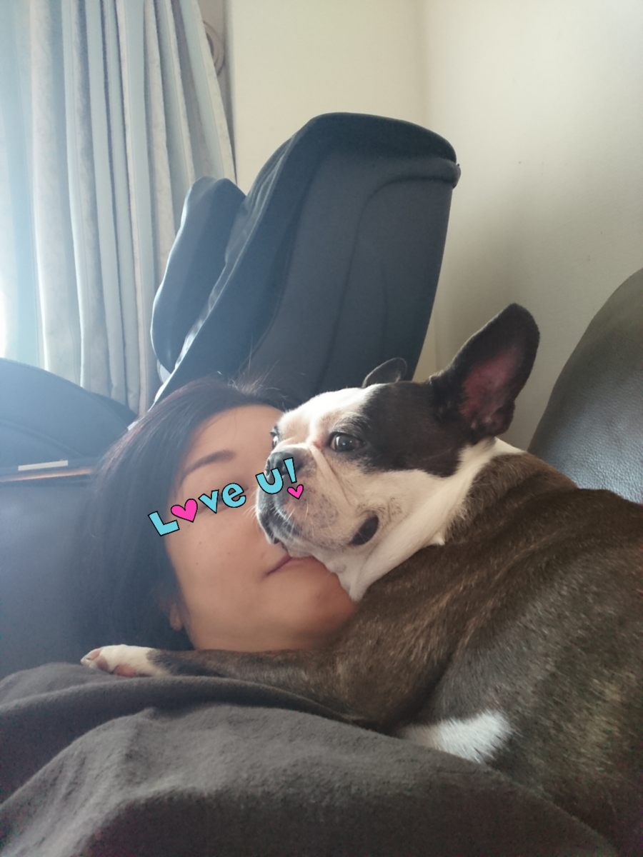 f:id:bu-621:20201014095436p:plain:w350