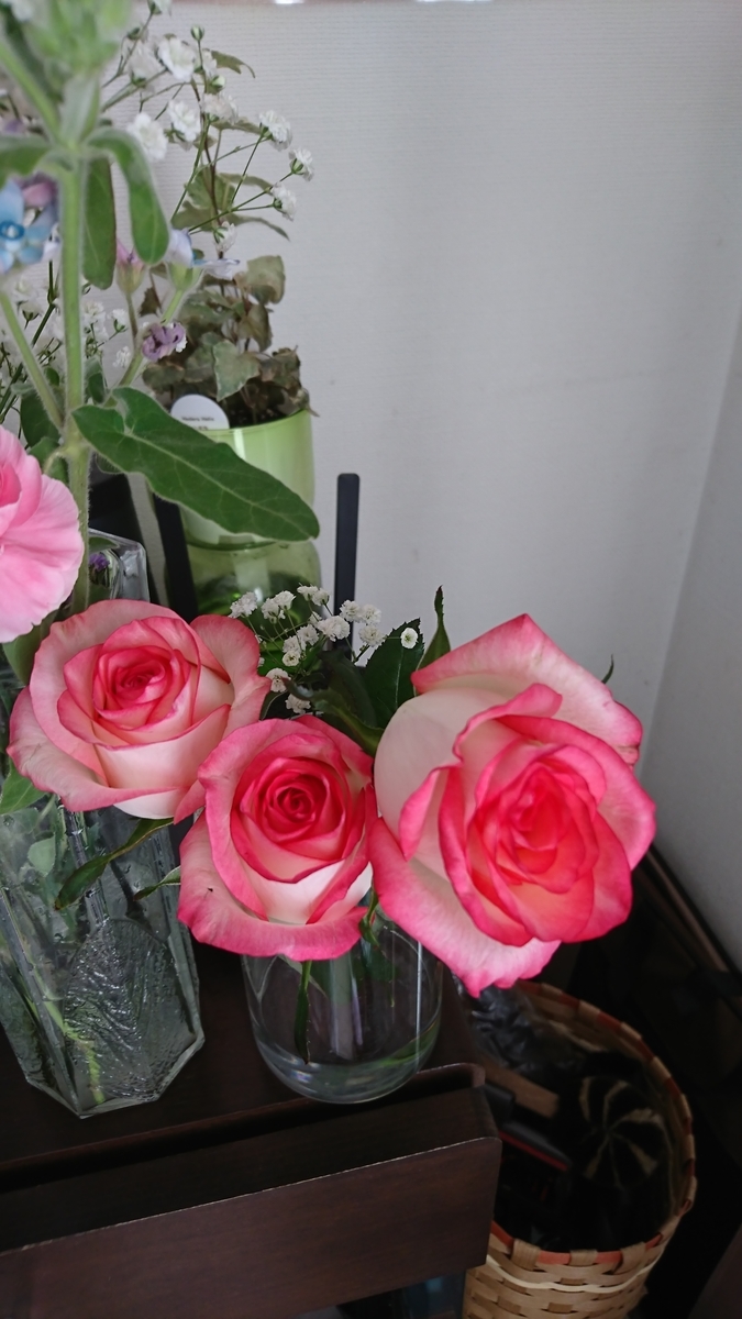 f:id:bu-621:20201115081842j:plain:w250