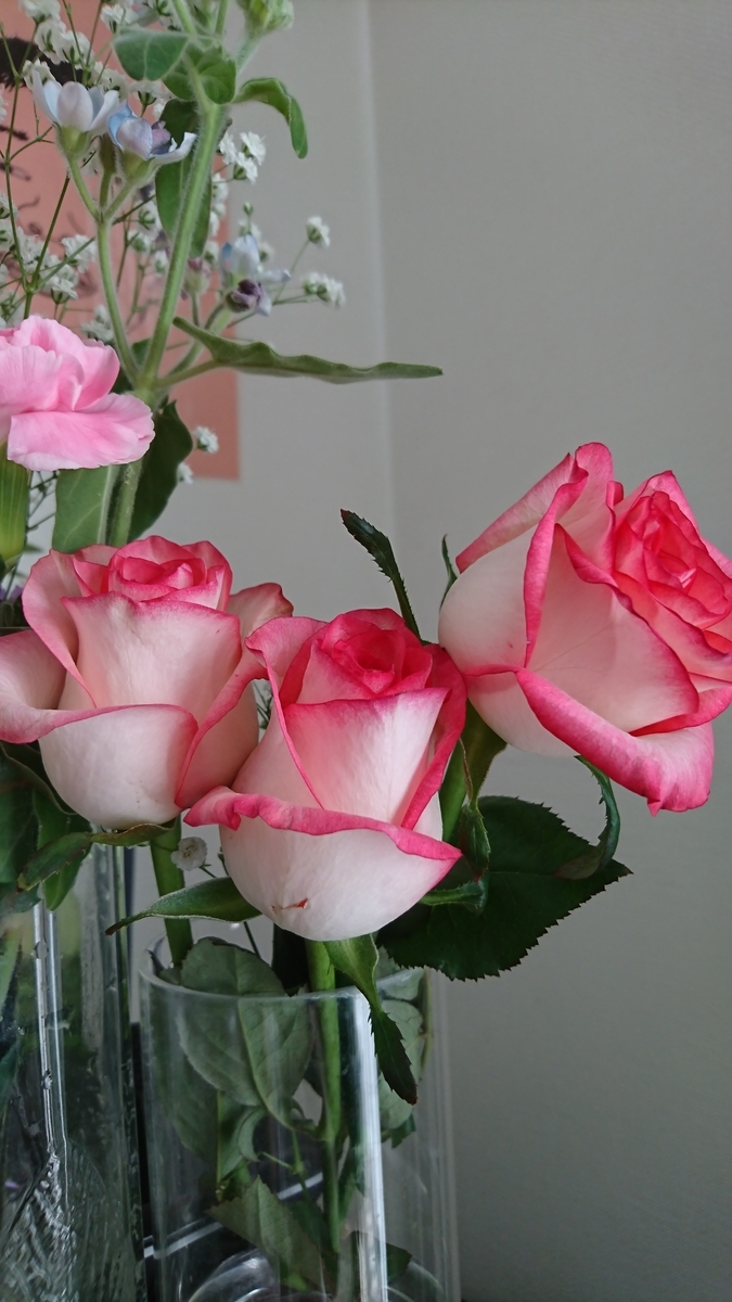 f:id:bu-621:20201115082031j:plain:w250