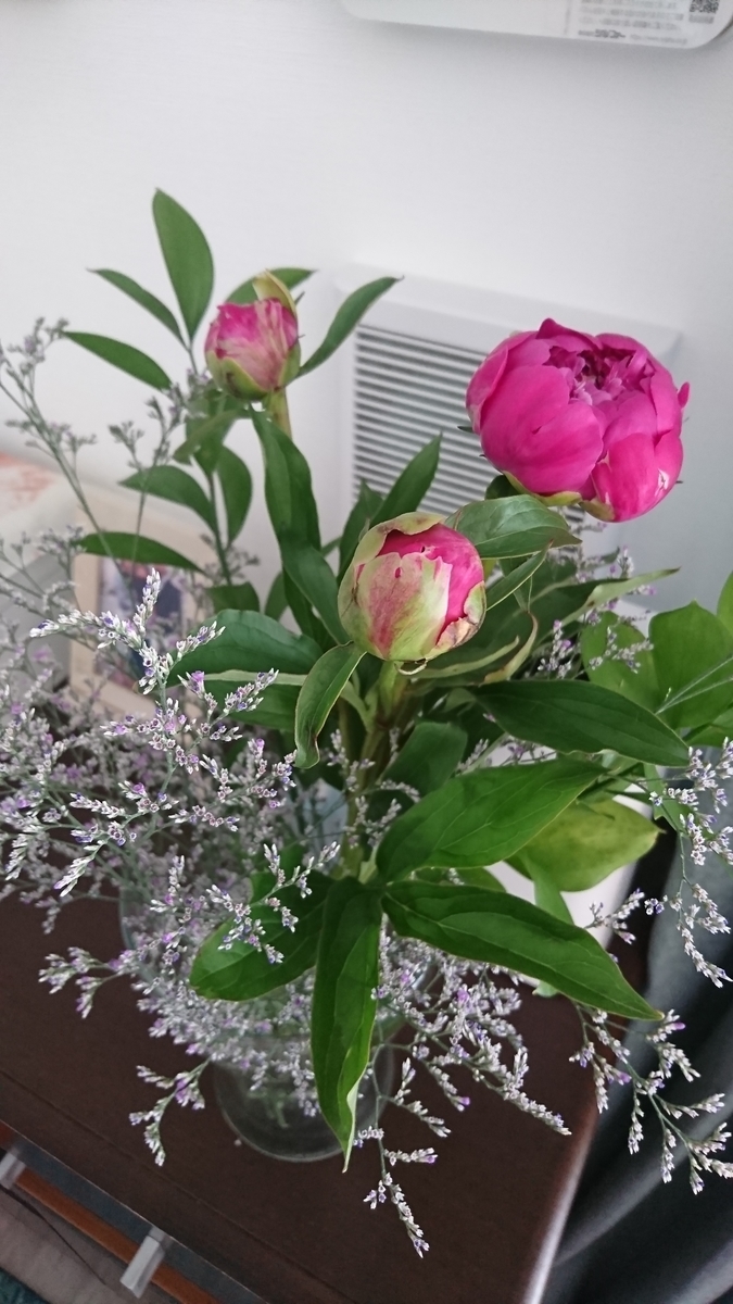 f:id:bu-621:20210601090845j:plain:w350