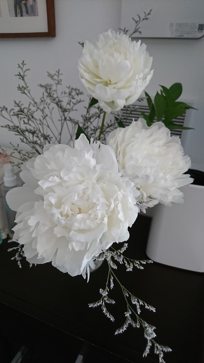 f:id:bu-621:20210613082934j:plain:w350