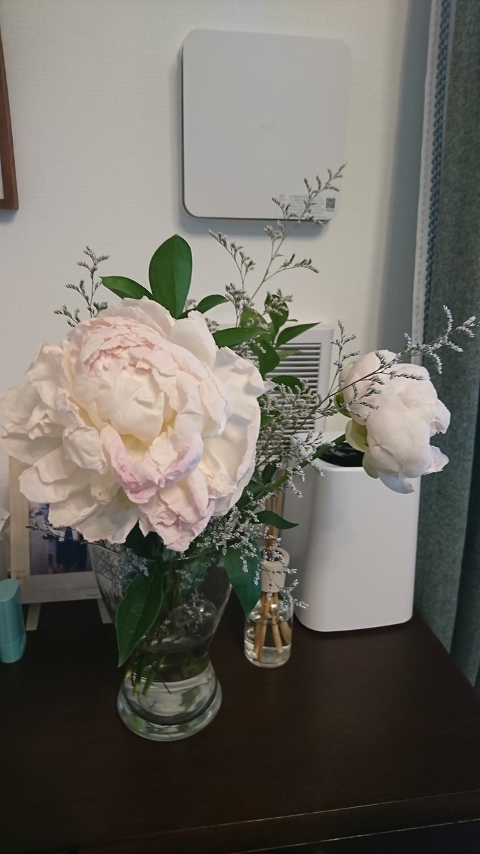 f:id:bu-621:20210623072018j:plain:w300