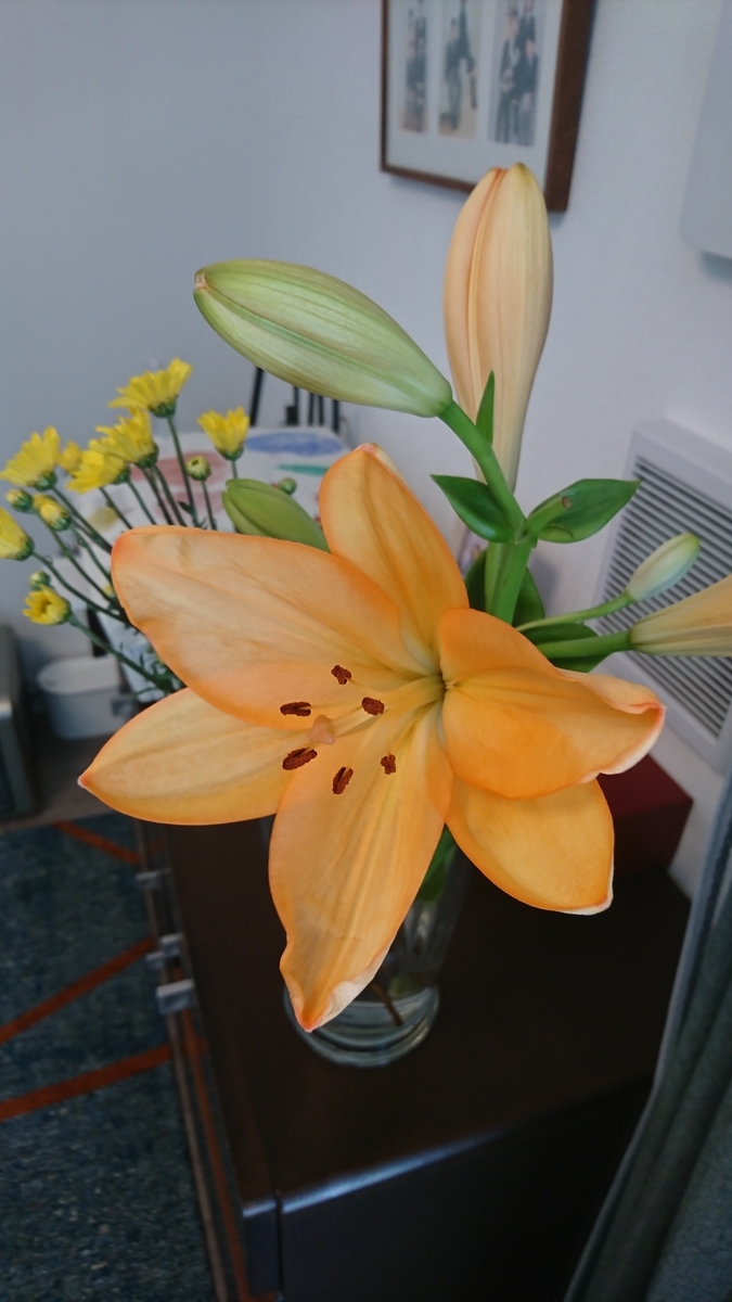 f:id:bu-621:20210730085111j:plain:w350