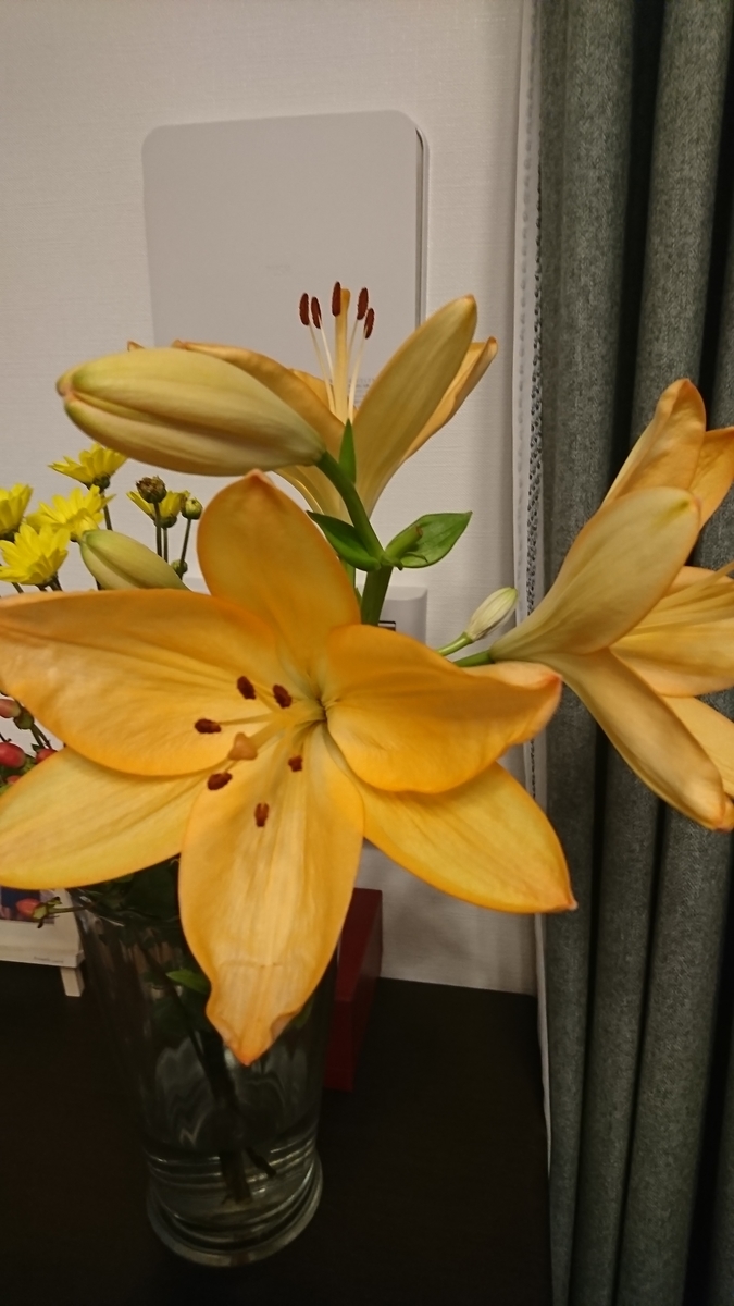 f:id:bu-621:20210730085501j:plain:w350