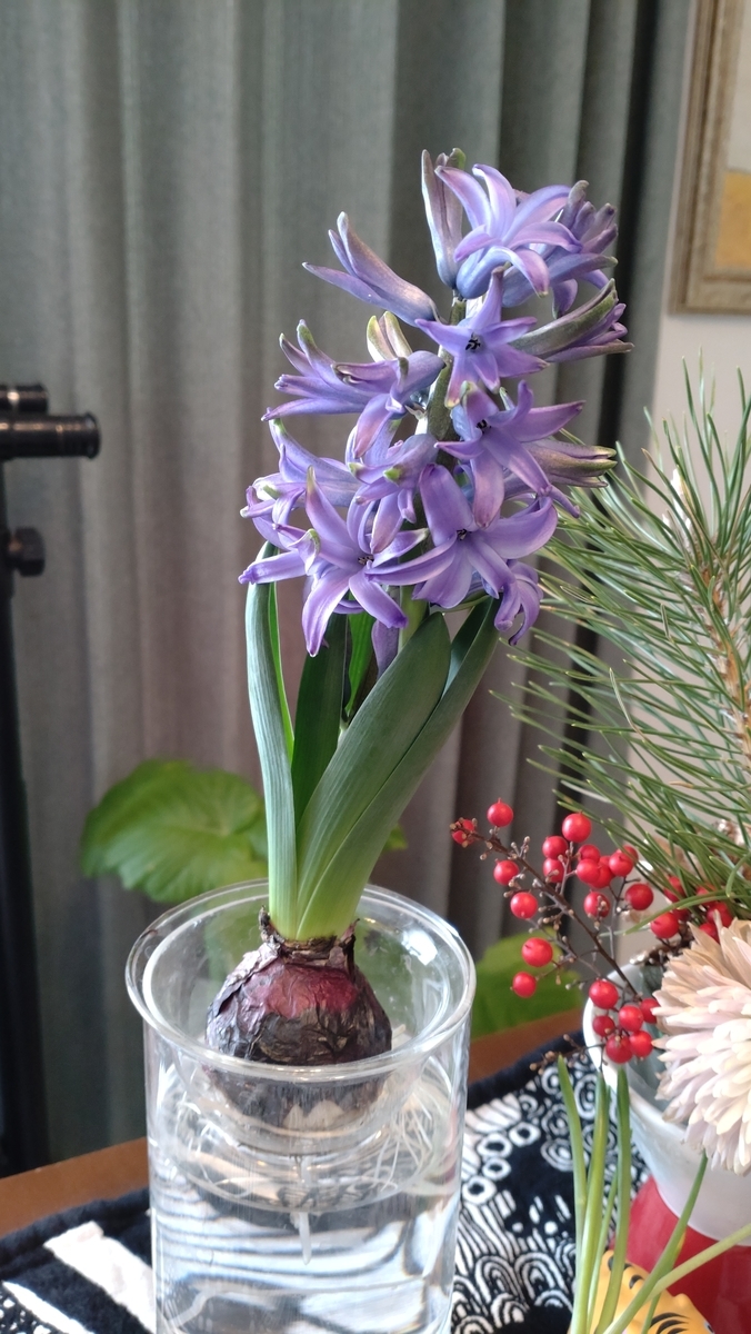 f:id:bu-621:20220123111104j:plain:w350