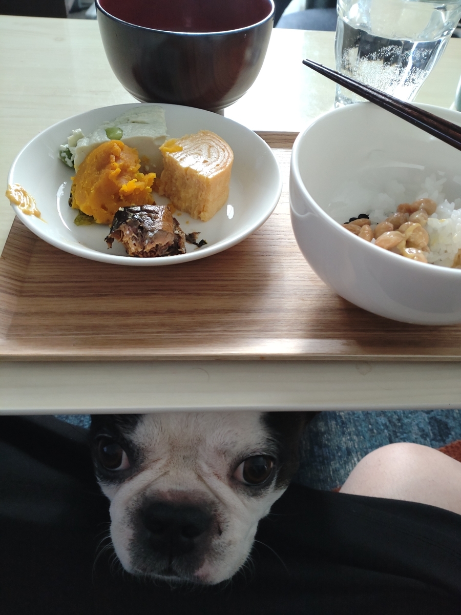 f:id:bu-621:20220204092825j:plain:w350