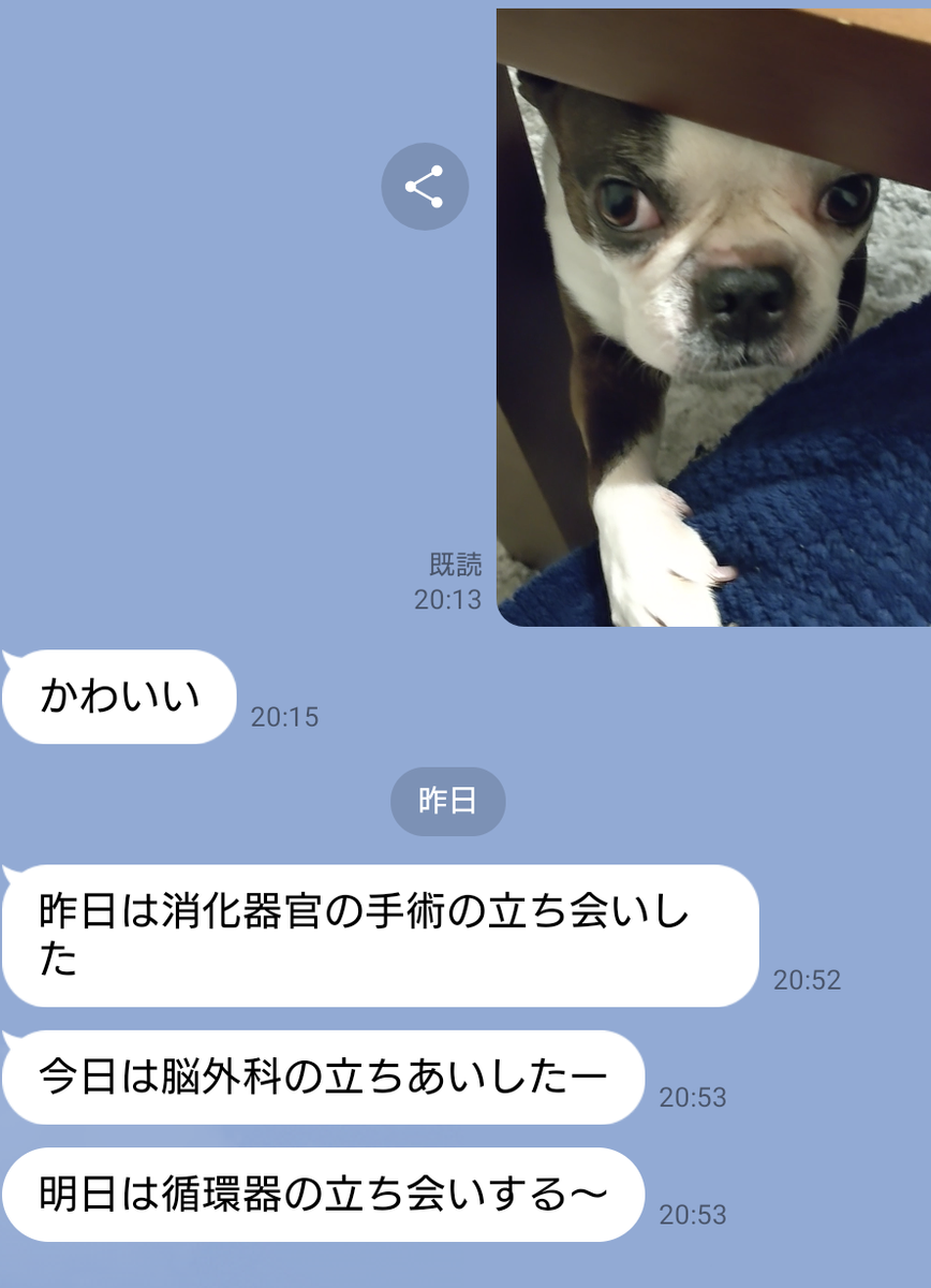 f:id:bu-621:20220413125623p:plain:w450