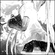 f:id:bu_u_ta_n:20180708091819p:plain f:id:bu_u_ta_n:20180708091819p:plain