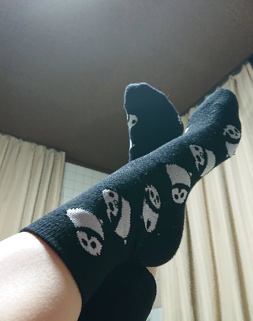 f:id:bubble-islander:20230131235104j:image f:id:bubble-islander:20230131235104j:image