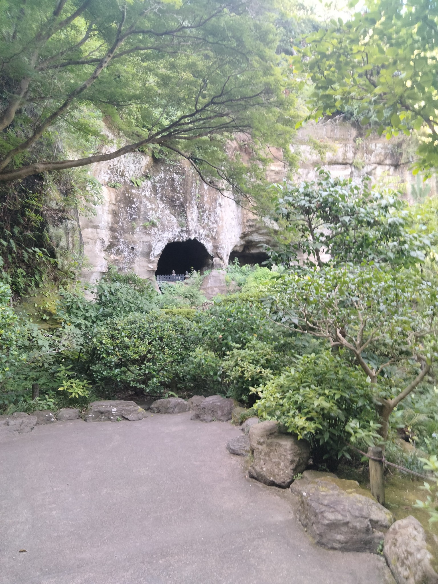 f:id:bubbleboom:20260720103709j:image