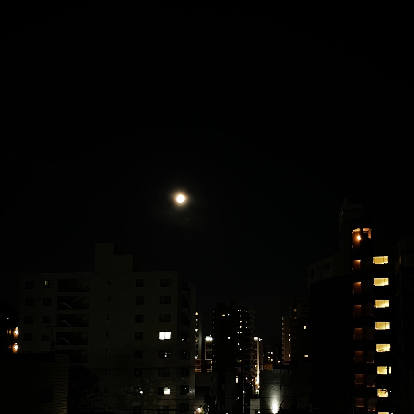 f:id:bubbleguitar:20240818210452j:image