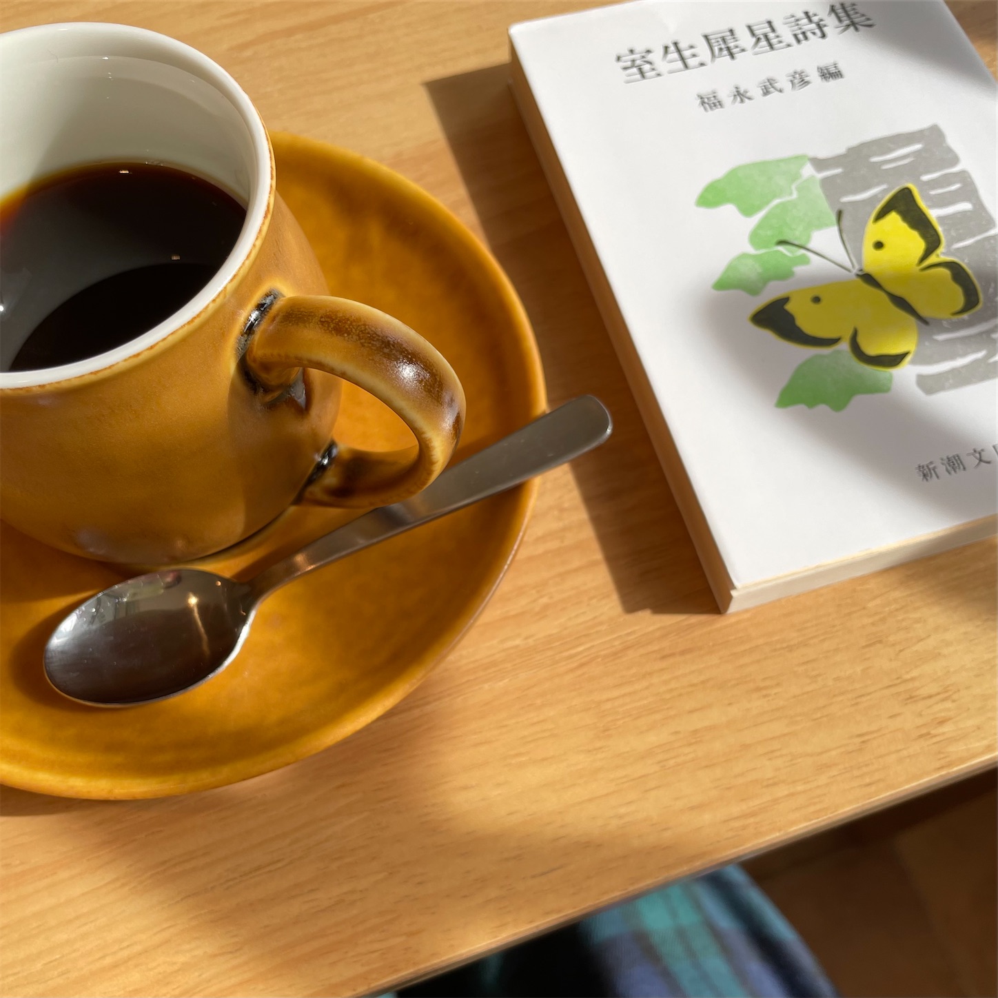 f:id:bubbleguitar:20241021160014j:image