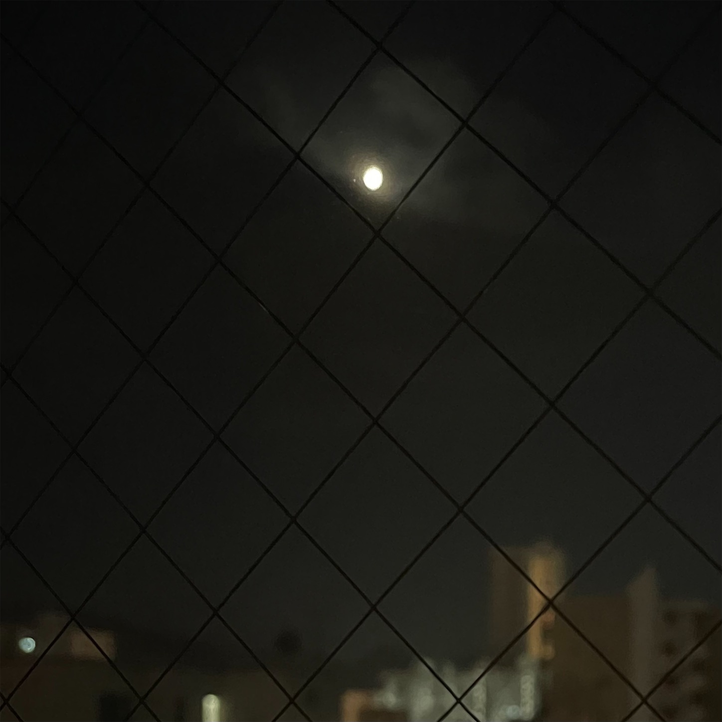 f:id:bubbleguitar:20250217084411j:image