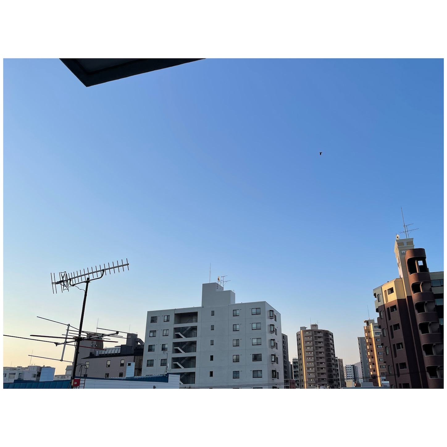 f:id:bubbleguitar:20250412060809j:image