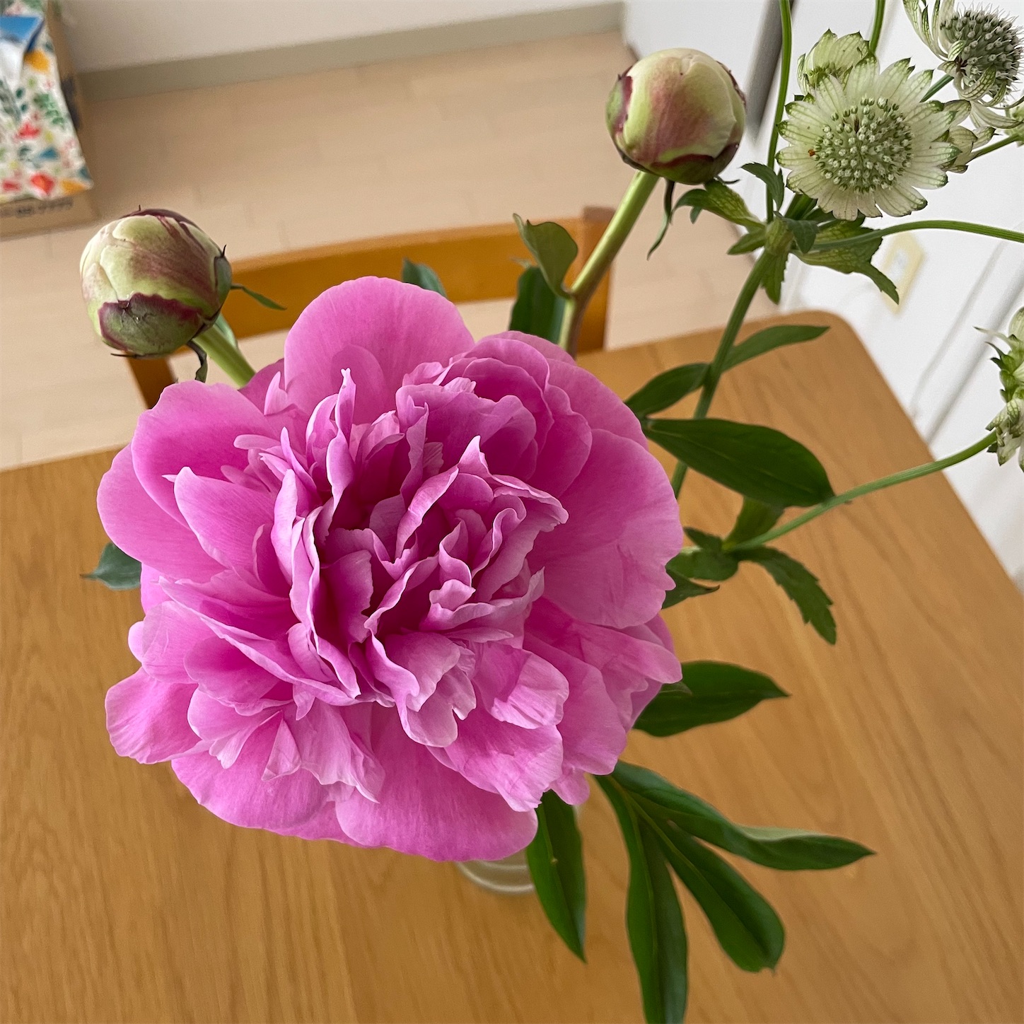 f:id:bubbleguitar:20250608071313j:image f:id:bubbleguitar:20250608071313j:image