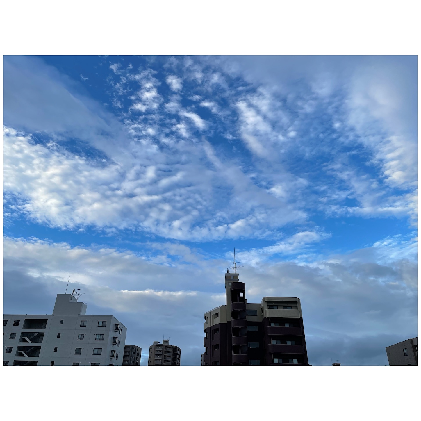 f:id:bubbleguitar:20250716050704j:image