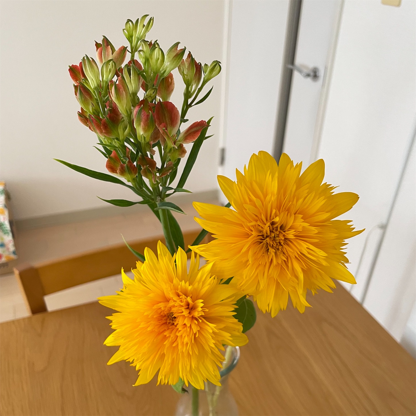 f:id:bubbleguitar:20250909121724j:image