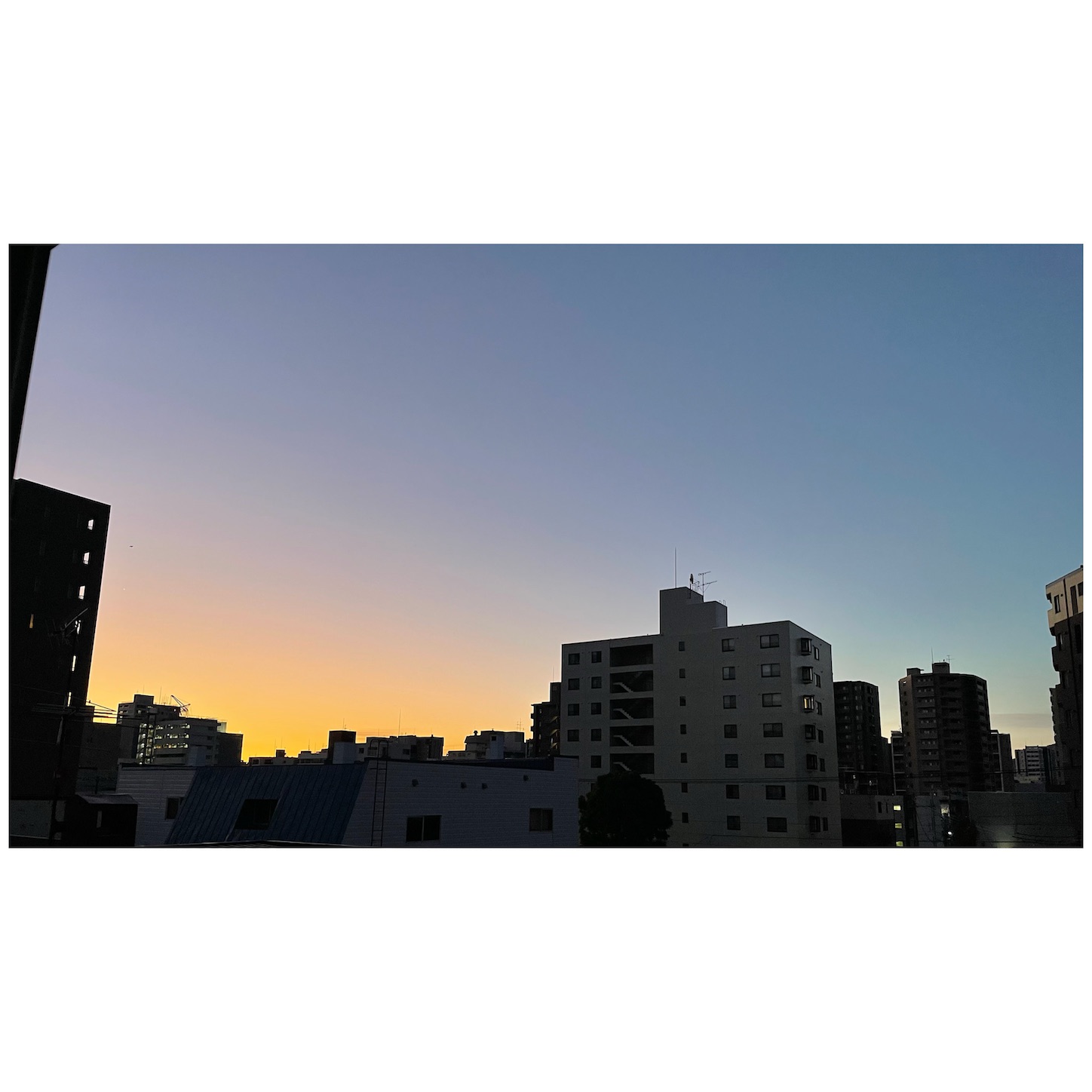 f:id:bubbleguitar:20251025055604j:image