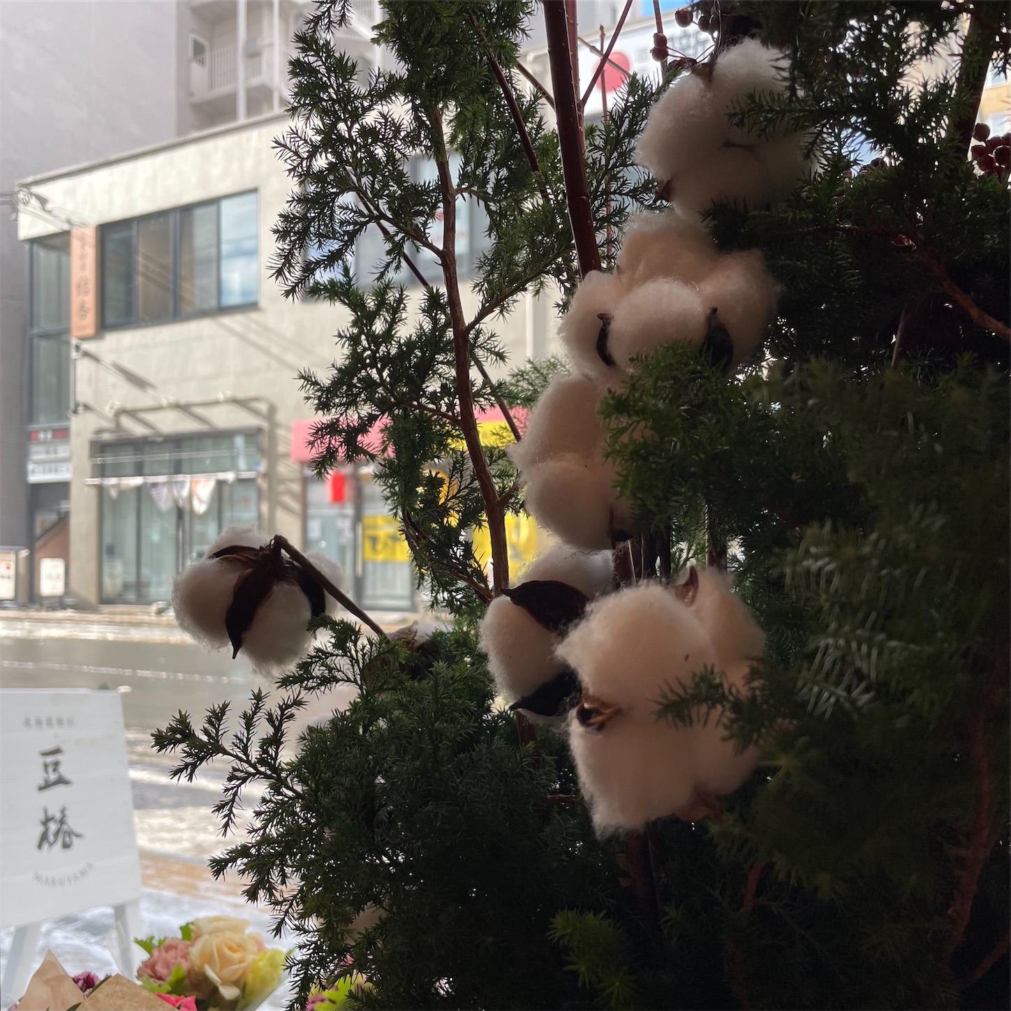 f:id:bubbleguitar:20251119154608j:image