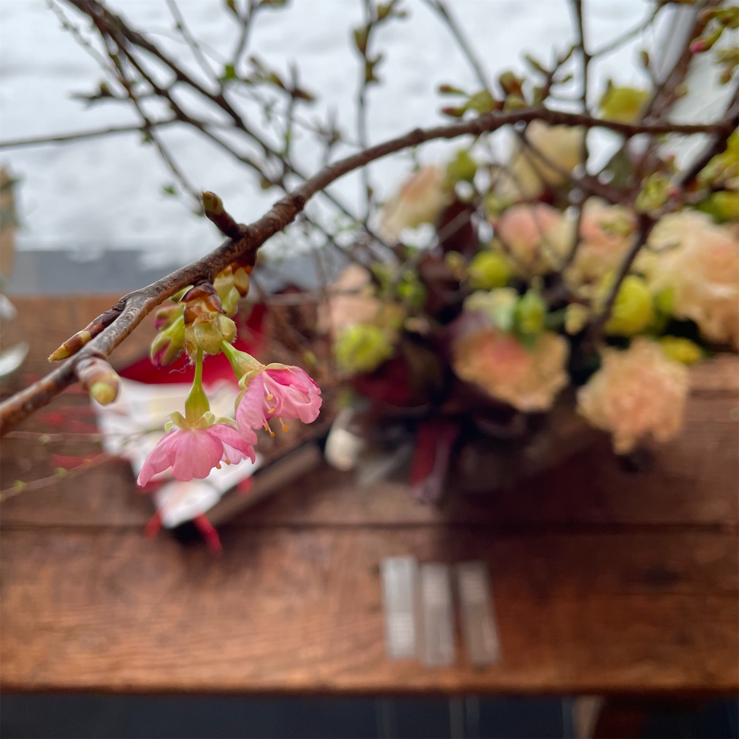 f:id:bubbleguitar:20260116141956j:image