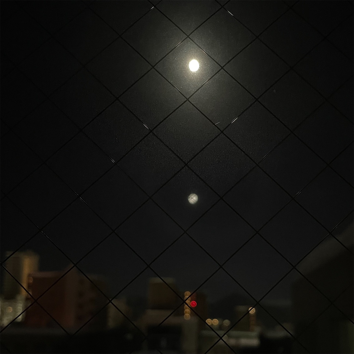 f:id:bubbleguitar:20260203042346j:image