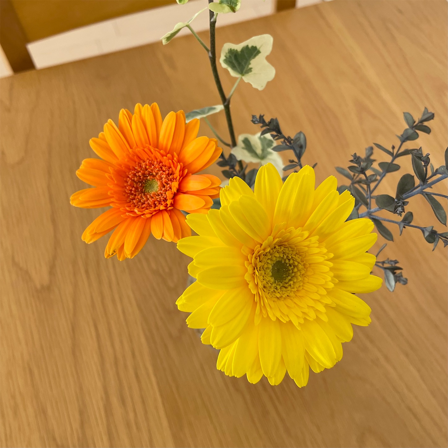 f:id:bubbleguitar:20260424155513j:image