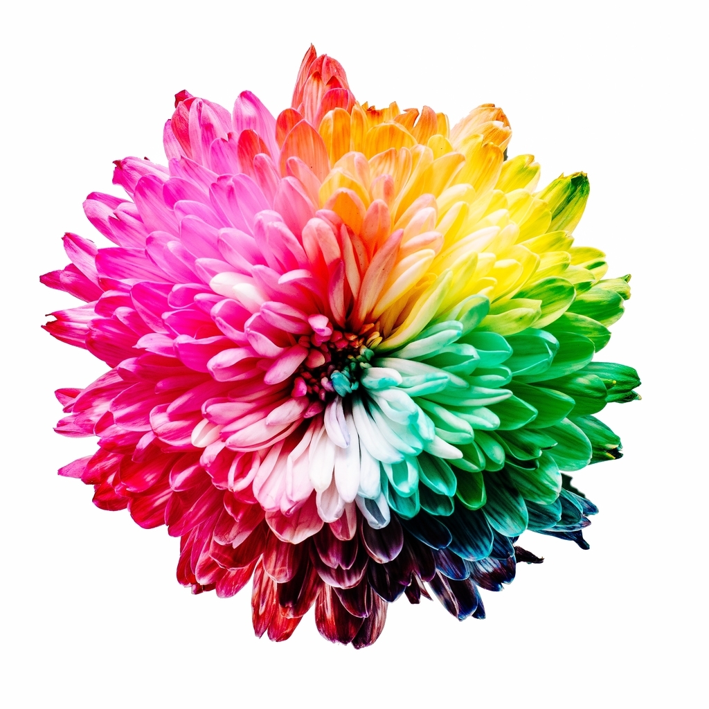 f:id:bubblism:20181108215142j:plain