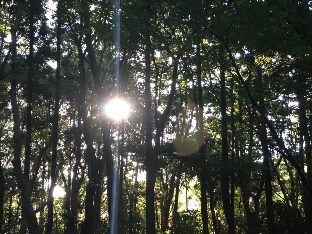 f:id:bubucyan-blog:20170903090932j:plain