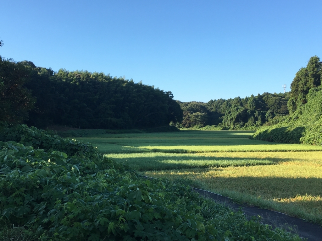 f:id:bubucyan-blog:20170903091012j:plain