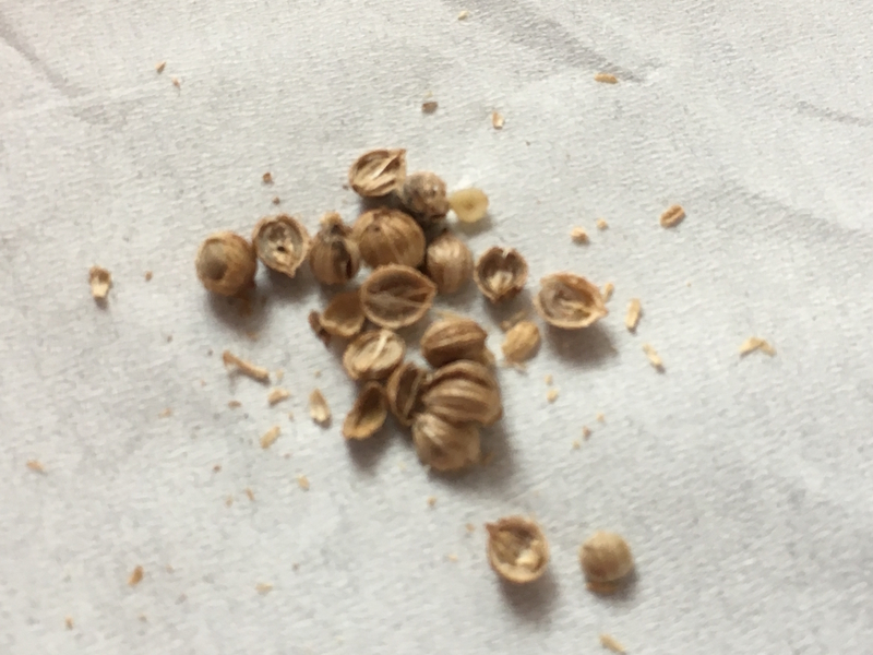 f:id:bubucyan-blog:20190625093415j:plain f:id:bubucyan-blog:20190625093415j:plain