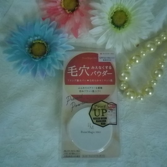 f:id:bubuhikotan:20200309115608j:plain
